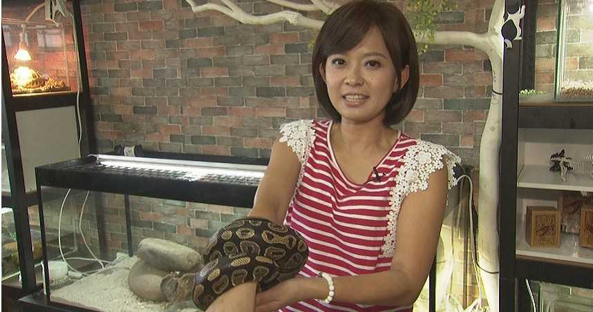 麥玉潔為《中天晨報》豁出去　電流蟒蛇上身沒在怕