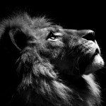 Image with missing alt attribute found on danhgiaxe.com