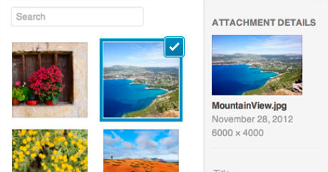 Image with missing alt attribute found on dondominio.net