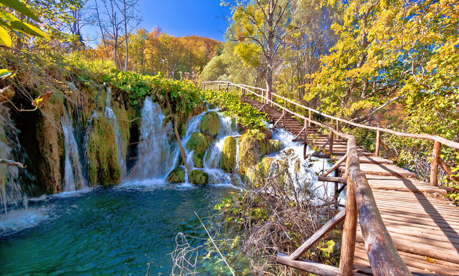 Image with missing alt attribute found on eva.ro