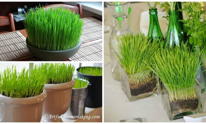 Image with missing alt attribute found on eva.ro