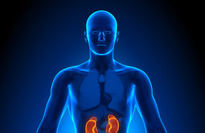 Image with missing alt attribute found on eva.ro