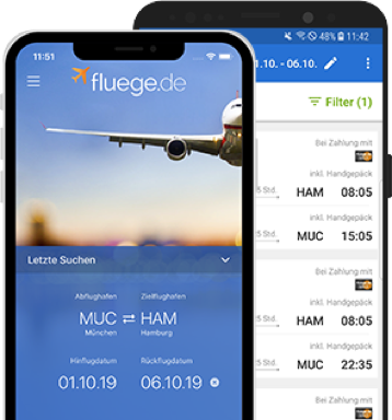 Image with missing alt attribute found on fluege.de