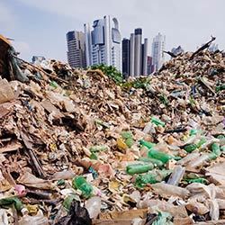 Sustainability today