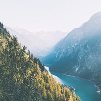 - Focused featured artists