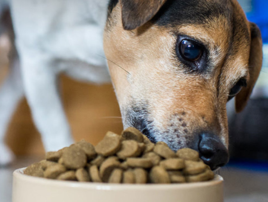 Image with missing alt attribute found on freshrelevance.com