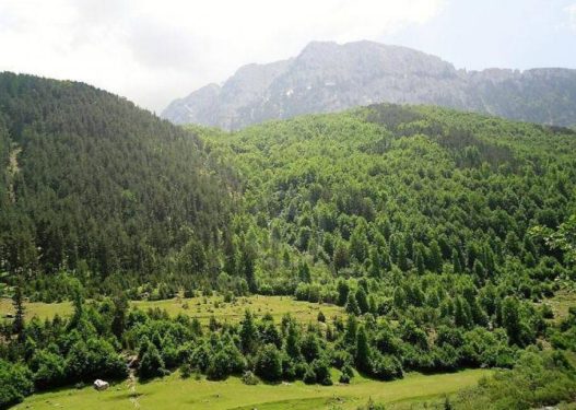 Image with missing alt attribute found on joqalbania.com