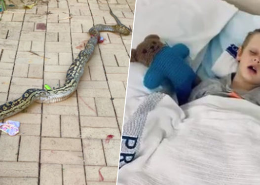 Image with missing alt attribute found on joqalbania.com