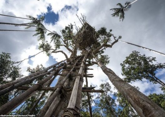 Image with missing alt attribute found on joqalbania.com