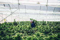 Image with missing alt attribute found on lepoint.fr