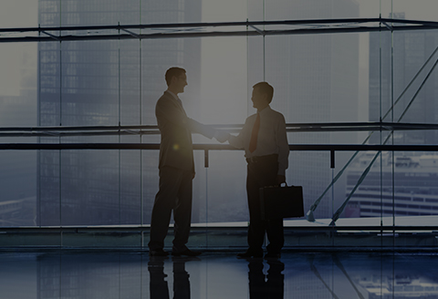 Image with missing alt attribute found on merlion.ru