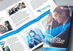 Image with missing alt attribute found on nextdayflyers.com