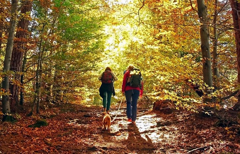 Image with missing alt attribute found on seattletimes.com