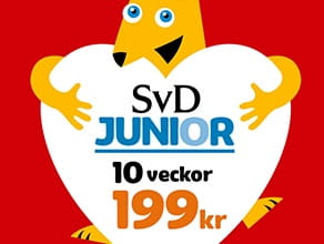 Läsglädje ger kunskap