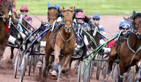 Image with missing alt attribute found on turfoo.fr