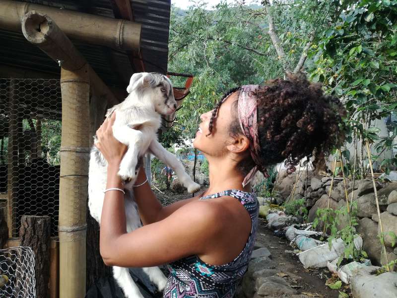 Image with missing alt attribute found on workaway.info