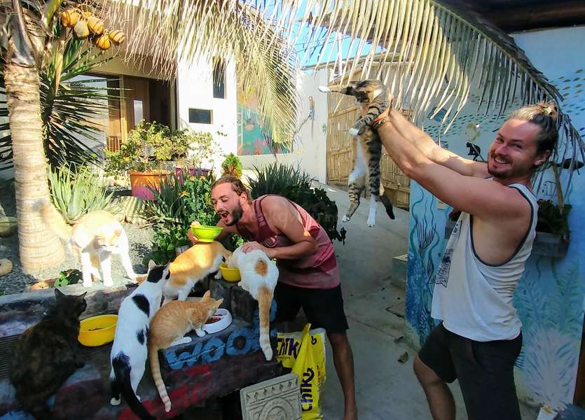 Image with missing alt attribute found on workaway.info