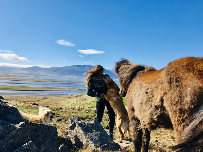 Image with missing alt attribute found on workaway.info