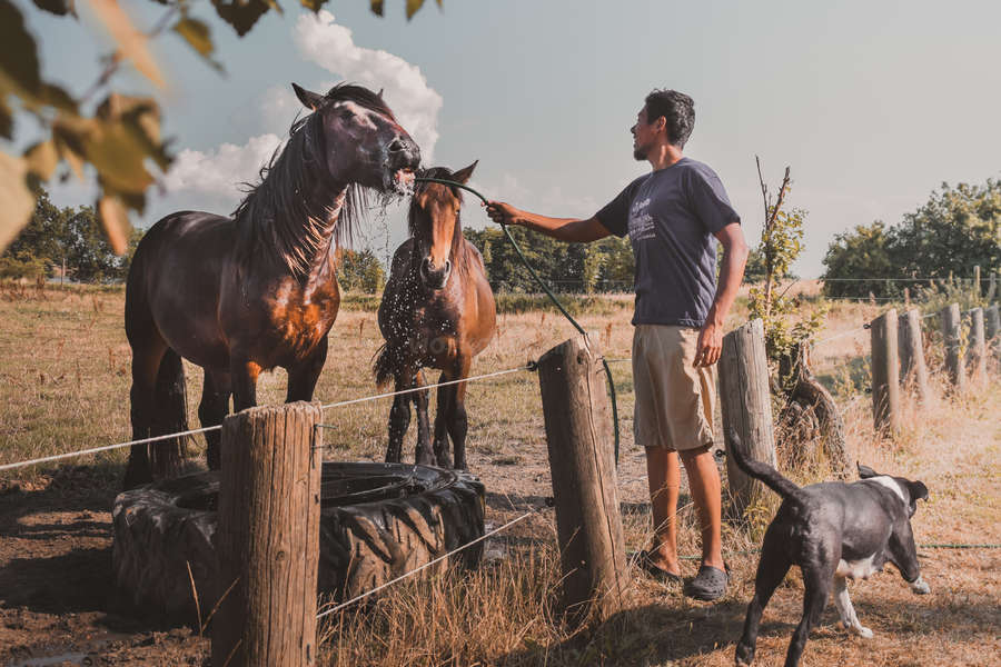 Image with missing alt attribute found on workaway.info