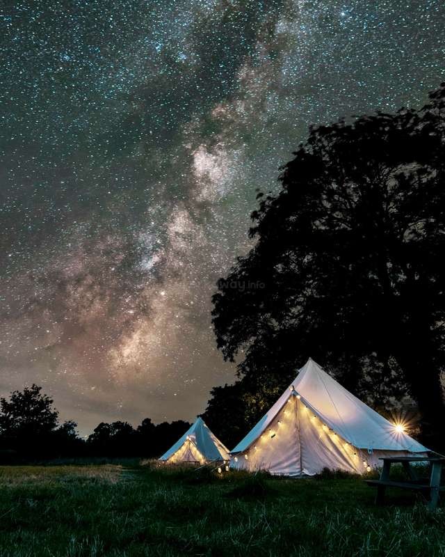 Image with missing alt attribute found on workaway.info