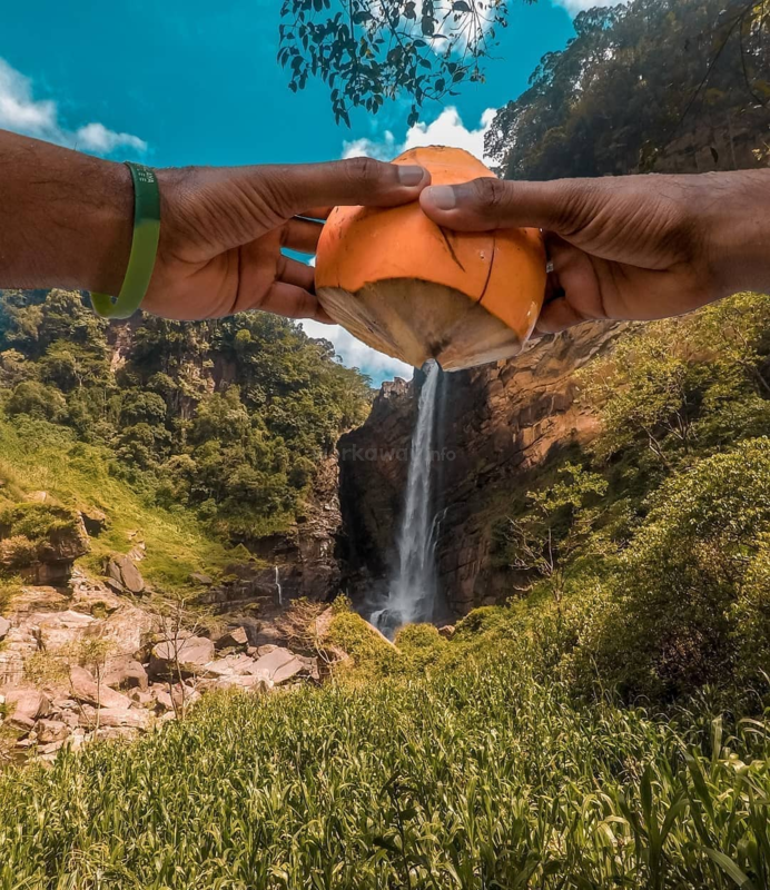 Image with missing alt attribute found on workaway.info