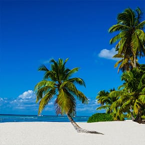 Image with missing alt attribute found on esky.fr