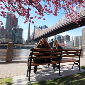 Image with missing alt attribute found on esky.com