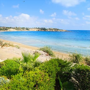 Image with missing alt attribute found on esky.ro