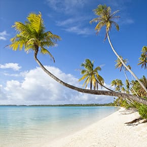 Image with missing alt attribute found on esky.fr