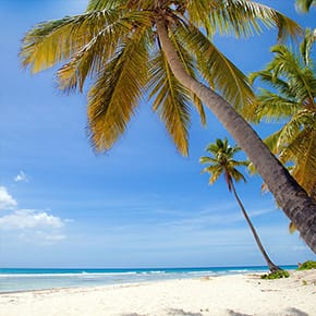 Image with missing alt attribute found on edestinos.com