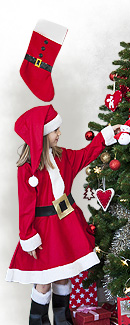 Image with missing alt attribute found on funidelia.es