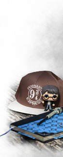 Image with missing alt attribute found on funidelia.es