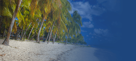 Image with missing alt attribute found on meteoconsult.fr