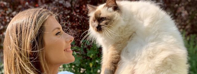 Image with missing alt attribute found on ozap.com