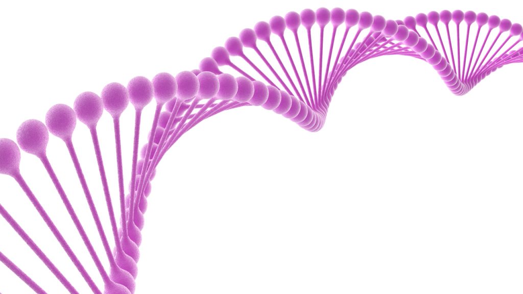 Image with missing alt attribute found on diariomedico.com