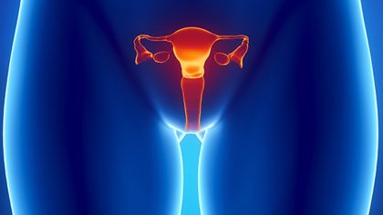 Image with missing alt attribute found on diariomedico.com