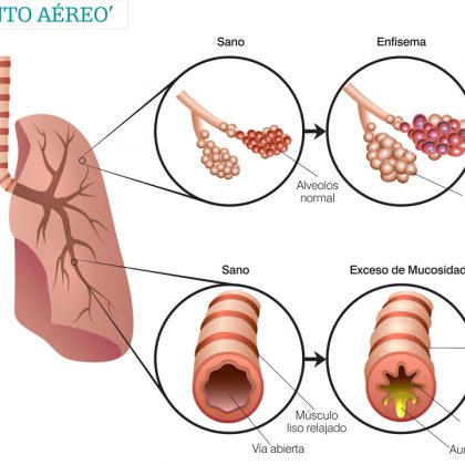 Image with missing alt attribute found on diariomedico.com