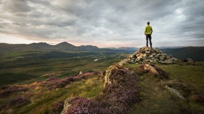 Image with missing alt attribute found on diariomedico.com