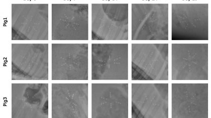 Image with missing alt attribute found on diariomedico.com