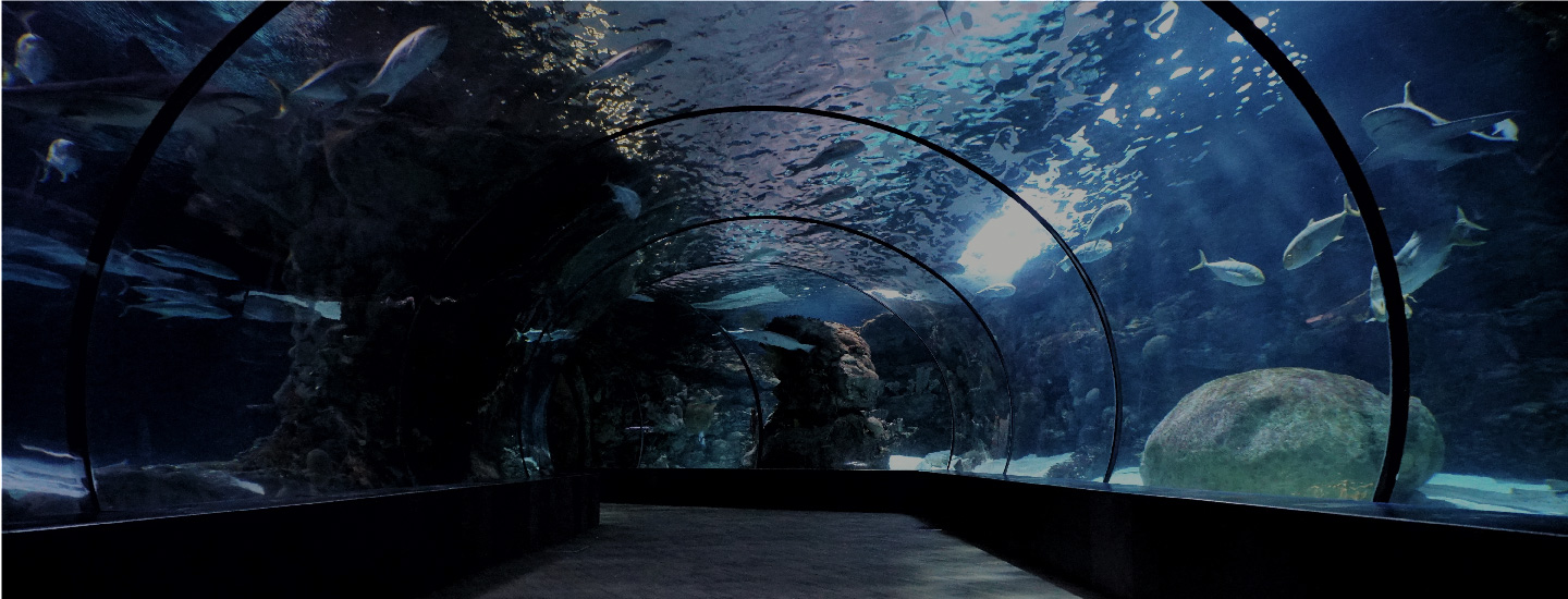 Image with missing alt attribute found on zepass.com