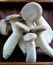 Image with missing alt attribute found on steamykitchen.com