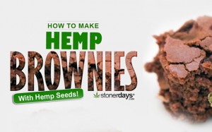 Image with missing alt attribute found on stonerdays.com