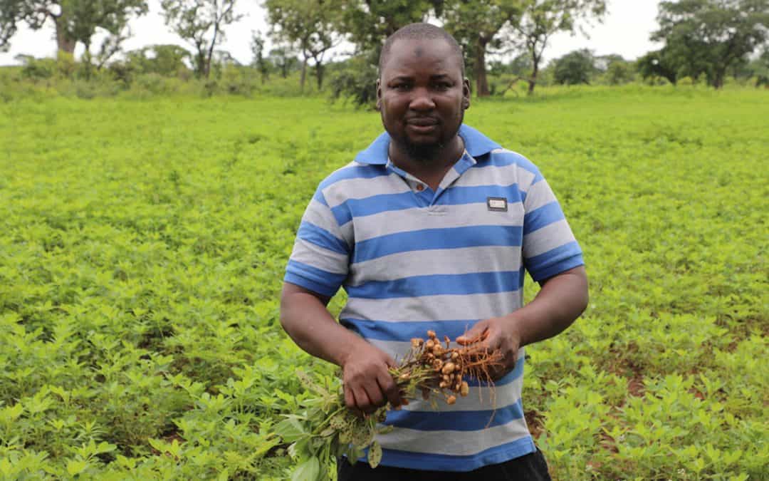 Image with missing alt attribute found on cgiar.org