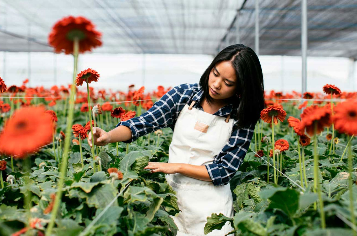 Image with missing alt attribute found on incrussia.ru