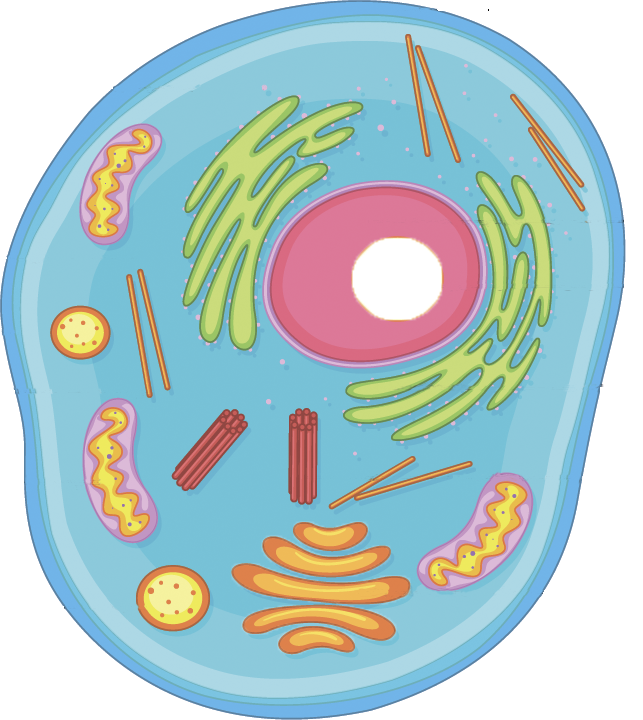 Image with missing alt attribute found on studylib.net