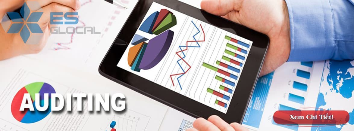 Dịch vụ kiểm to&aacute;n t&agrave;i ch&iacute;nh