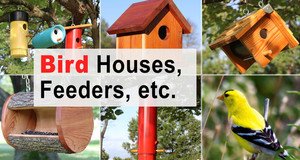 Bird Houses, Feeders & More.