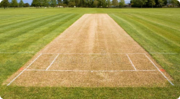 Image with missing alt attribute found on surekhaexports.com