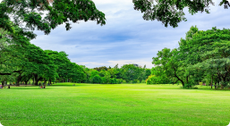 Image with missing alt attribute found on surekhaexports.com