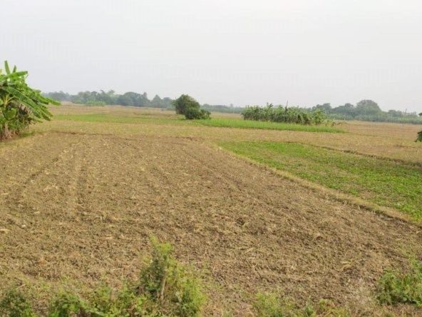 Image with missing alt attribute found on sviproperties.in